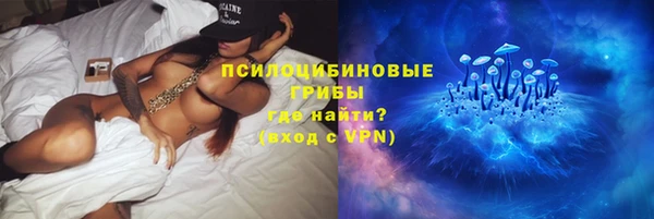 ПСИЛОЦИБИНОВЫЕ ГРИБЫ Волосово