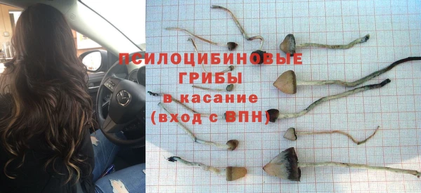 ПСИЛОЦИБИНОВЫЕ ГРИБЫ Волосово