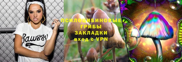 ПСИЛОЦИБИНОВЫЕ ГРИБЫ Волосово