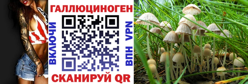 Псилоцибиновые грибы Psilocybe Хабаровск