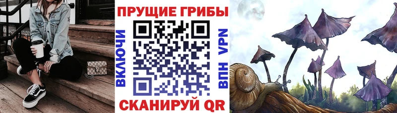Галлюциногенные грибы Psilocybe  Хабаровск 